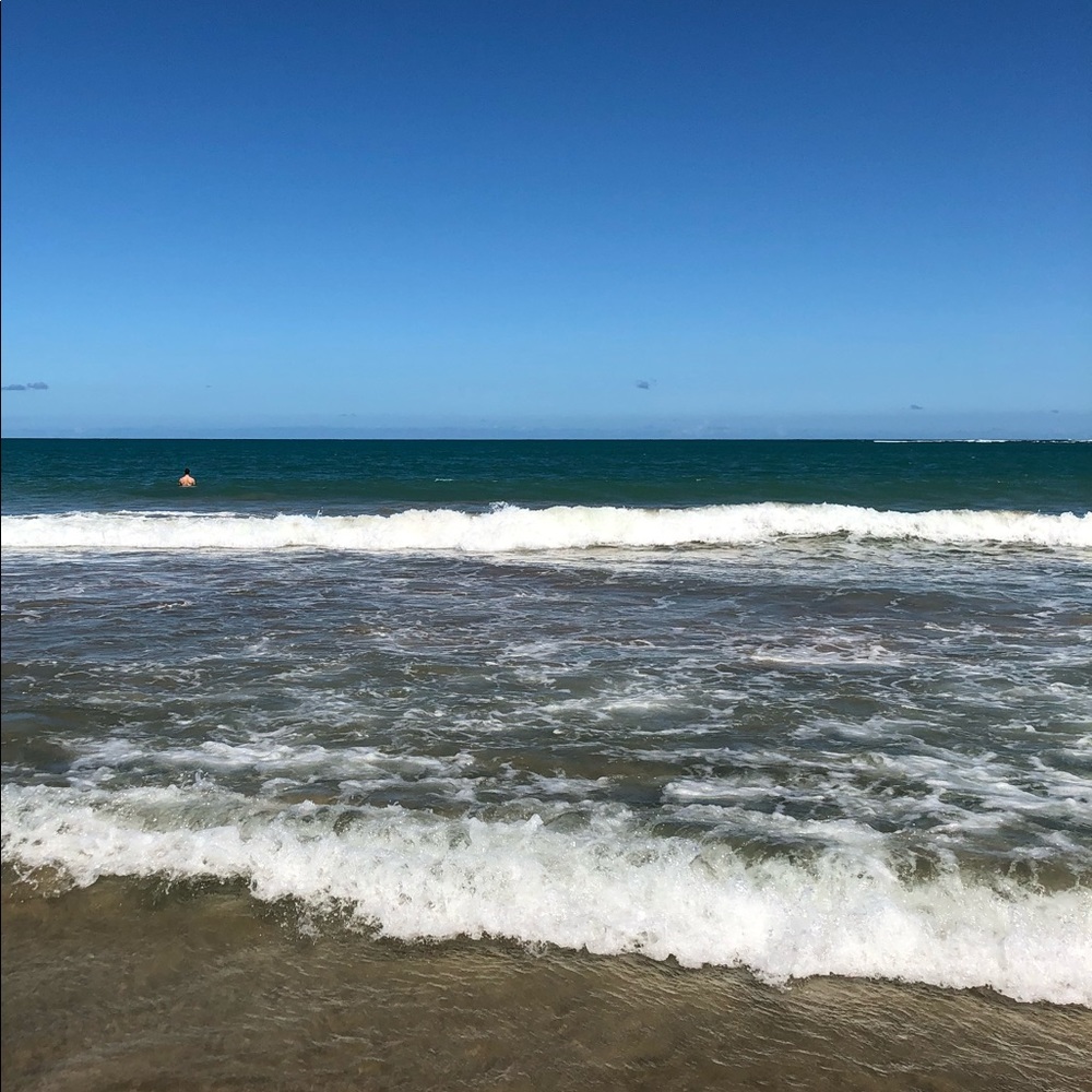 Meet your Posher, Molly